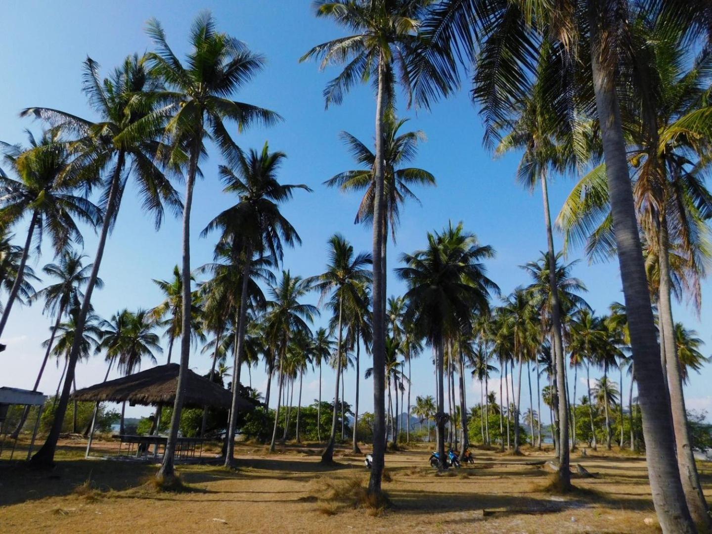 Swiss Bonihouse Koh Yao Yai 호텔 Ban Pru Nai 외부 사진