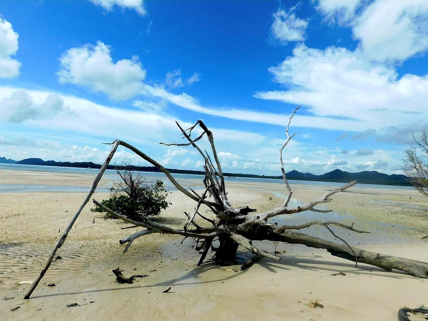 Swiss Bonihouse Koh Yao Yai 호텔 Ban Pru Nai 외부 사진