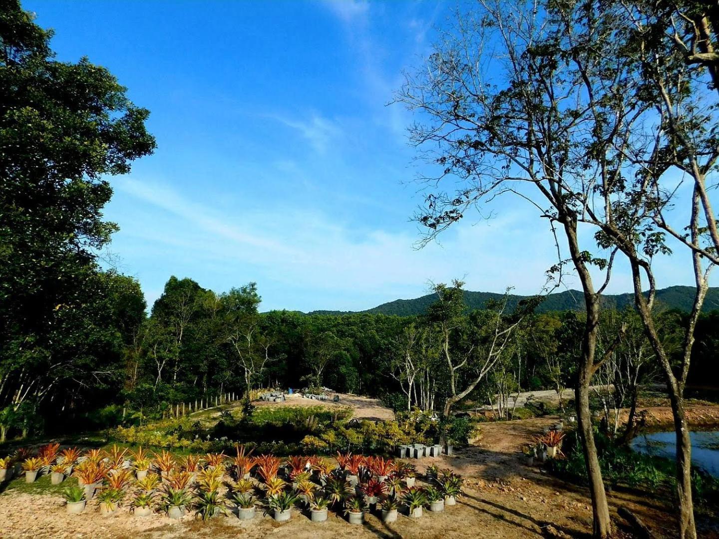Swiss Bonihouse Koh Yao Yai 호텔 Ban Pru Nai 외부 사진