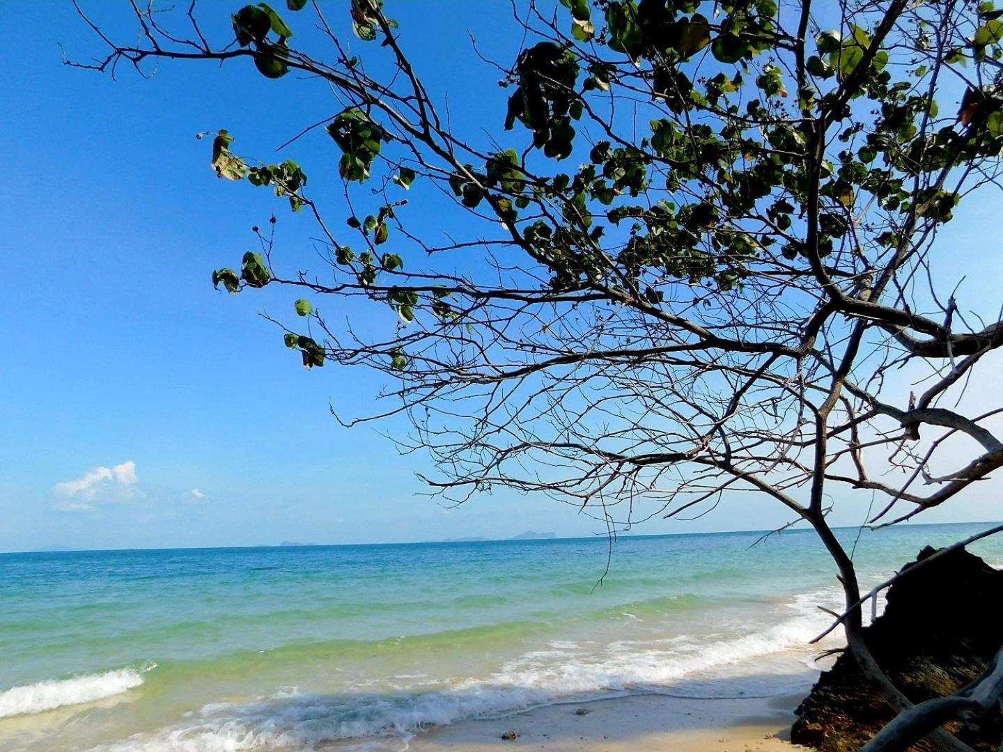 Swiss Bonihouse Koh Yao Yai 호텔 Ban Pru Nai 외부 사진